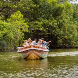Balapitiya River Cruise Adventure