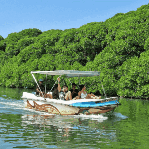 Negombo Lagoon & Beach Day Tour